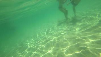 Young couple swimming at tropical sea, underwater view video