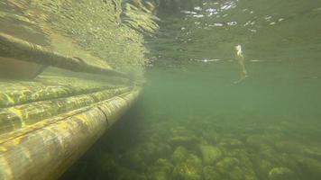 voyage de rafting en bambou dans la forêt tropicale à khao lak, thaïlande video