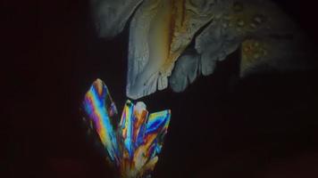 colored crystals considering the microscope video