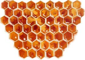 Honeycomb watercolor color vector drawing. Honey theme.