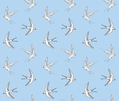 Seamless pattern of swallow vector