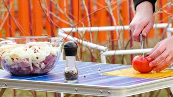 Man preparing grilled meat in nature. Pork shashlik, picnic. Juicy BBQ video