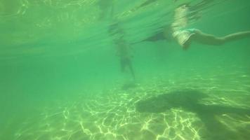 Young couple swimming at tropical sea, underwater view video