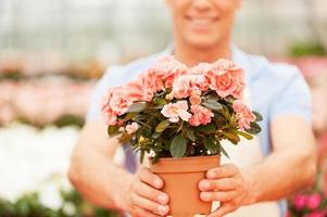 Take you flower. Cropped image of man in apron stretching out a potted plant and smiling while standing in a greenhouse photo