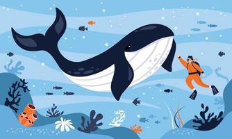 Flat Drawing Of A Diver And Whale vector