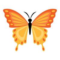 Flat Drawing Of A Butterfly vector
