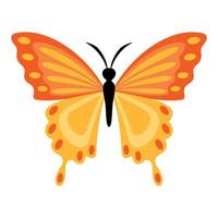 Flat Drawing Of A Butterfly vector