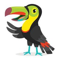 Cartoon Drawing Of A Toucan vector