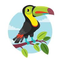 Cartoon Drawing Of A Toucan vector