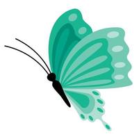 Flat Drawing Of A Butterfly vector