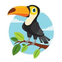 Cartoon Drawing Of A Toucan vector