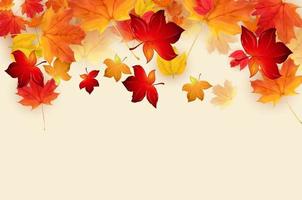 Maple Leaf Background Vector Art, Icons, and Graphics for Free Download