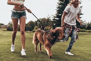 Feeling free and happy. Close-up of young modern couple playing with their dog while running in the park photo