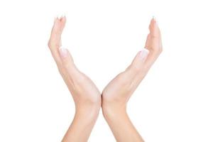 Hands gesturing. Close-up of female hands gesturing while isolated on white background photo