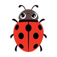 Cartoon Illustration Of A Ladybug vector