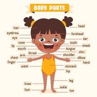 Cartoon Drawing Of Human Body Parts vector