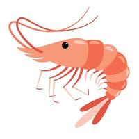 Cartoon Drawing Of A Shrimp vector