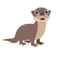 Cartoon Drawing Of An Otter vector