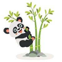 ilustración de dibujos animados de un panda vector