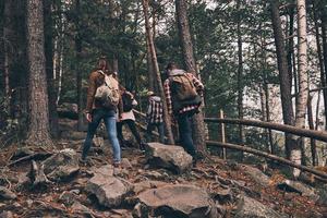 el mejor pasatiempo de todos. vista trasera completa de jóvenes con ropa abrigada subiendo mientras caminan juntos por el bosque foto