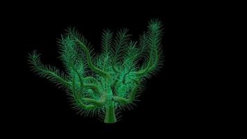 Animationsbaum, im Wind raschelnde Blätter, mit Alphakanal video
