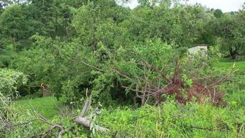 Les ouragans, les typhons et les cyclones tropicaux sont le phénomène météorologique le plus puissant et le plus destructeur sur terre et frappent chaque année de nombreux pays à travers le monde. video