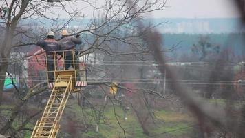 working on a special machine cut tree branches video