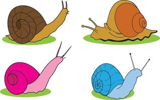 Collection of Snail Colorful Vector