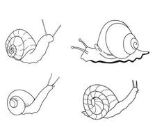 Collection of Snail Outline Drawing Illustrations Vector