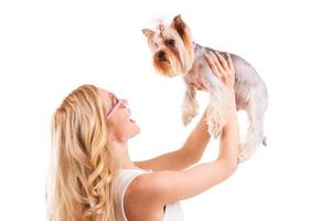 You are my best friend Side view of beautiful young blond hair woman carrying Yorkshire terrier in pink clothes and smiling while standing isolated on white background photo