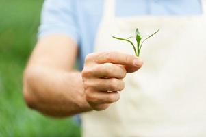 Think green Close up image of man in apron stretching out green leafs in hand photo