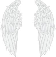 Illustration of Angel Wings Vector image