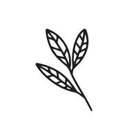 dibujado a mano rama con hojas doolde vector clipart
