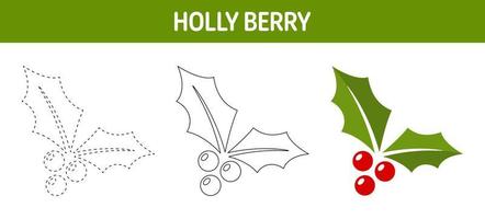 Holly Berry tracing and coloring worksheet for kids vector