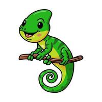 Cute little chameleon cartoon on tree branch vector