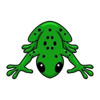 Cute little frog cartoon character vector