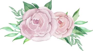 Watercolor illustration of pink roses flowers and greenery. Floral illustration for invitation, logos vector