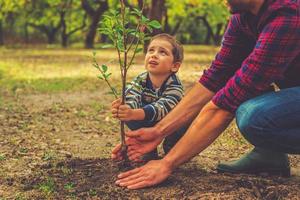 When will it grow Curious little boy helping his father to plant the tree while working together in the garden photo