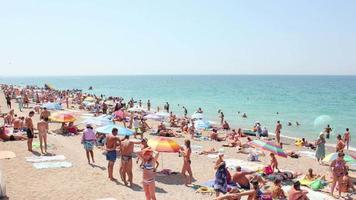 persone sulla spiaggia video