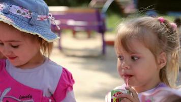 a group of little girls and boys play in the yard in summer video