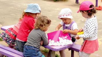 Eine Gruppe kleiner Mädchen und Jungen spielt im Sommer im Hof video