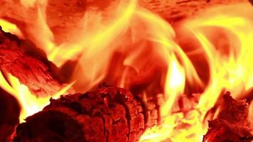 wood burning oven video