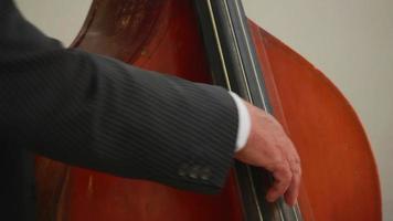 close up of a human hand presses the strings Bass video