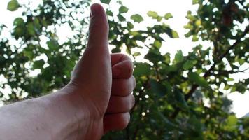 hand- Holding hun duimen omhoog in de groen natuur video