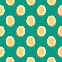 Oriental melon ,seamless pattern on green background. vector