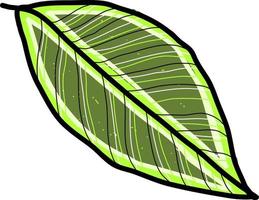 Long green leaf, illustration, vector on white background.