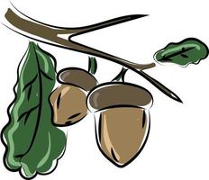 Nuts on tree, illustration, vector on white background.