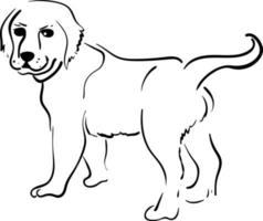 Dog drawing, illustration, vector on white background