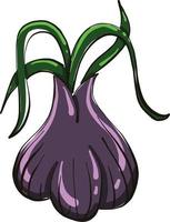 Purple onion with sprouts, illustration, vector on white background.