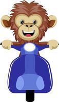 Monkey on scooter, illustration, vector on white background.